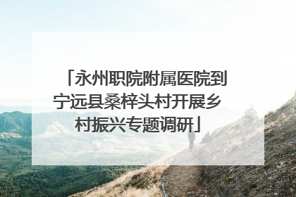 永州职院附属医院到宁远县桑梓头村开展乡村振兴专题调研