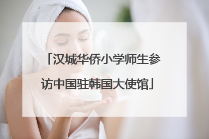 汉城华侨小学师生参访中国驻韩国大使馆