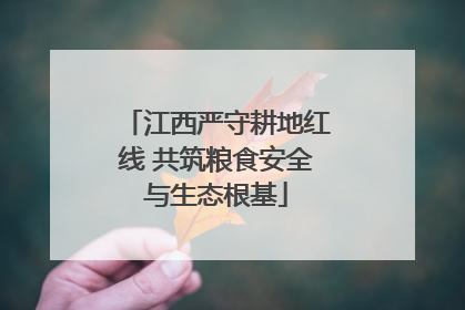 江西严守耕地红线 共筑粮食安全与生态根基