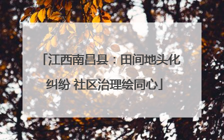 江西南昌县：田间地头化纠纷 社区治理绘同心