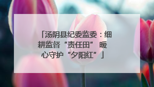 汤阴县纪委监委：细耕监督“责任田” 暖心守护“夕阳红”