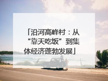 沿河高峰村：从“靠天吃饭”到集体经济蓬勃发展