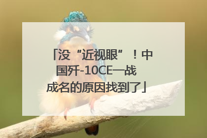 没“近视眼”！中国歼-10CE一战成名的原因找到了