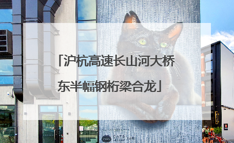 沪杭高速长山河大桥东半幅钢桁梁合龙
