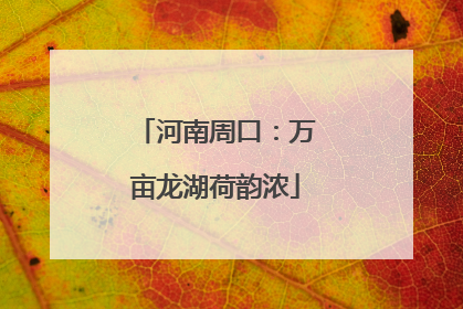 河南周口：万亩龙湖荷韵浓
