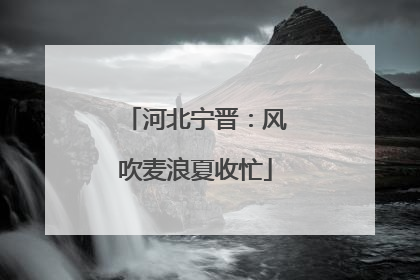 河北宁晋：风吹麦浪夏收忙