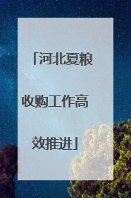 河北夏粮收购工作高效推进
