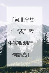 河北辛集：“麦”考生实收测产创新高