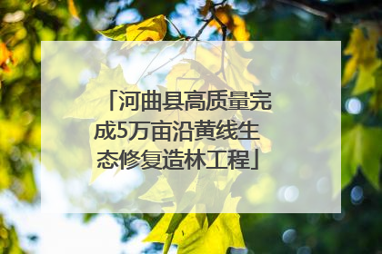 河曲县高质量完成5万亩沿黄线生态修复造林工程
