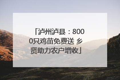 泸州泸县：8000只鸡苗免费送 乡贤助力农户增收