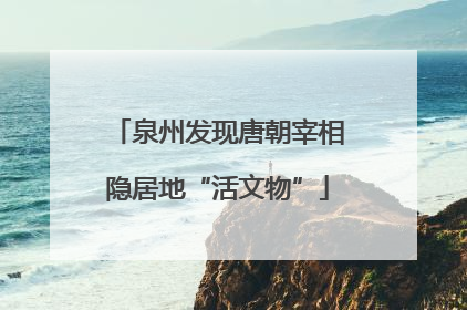 泉州发现唐朝宰相隐居地“活文物”