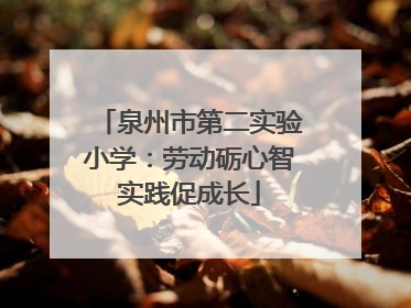 泉州市第二实验小学：劳动砺心智实践促成长