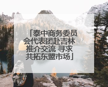 泰中商务委员会代表团赴吉林推介交流 寻求共拓东盟市场