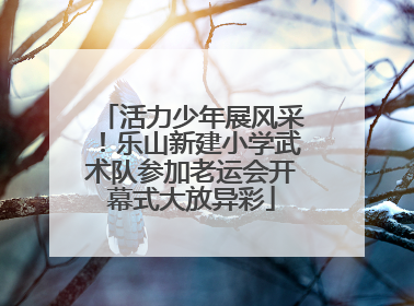 活力少年展风采！乐山新建小学武术队参加老运会开幕式大放异彩