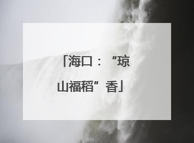 海口：“琼山福稻”香