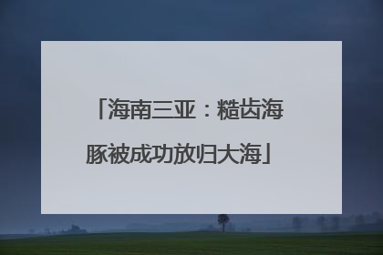 海南三亚：糙齿海豚被成功放归大海