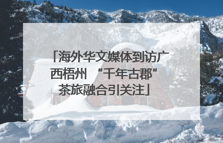 海外华文媒体到访广西梧州 “千年古郡”茶旅融合引关注