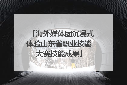 海外媒体团沉浸式体验山东省职业技能大赛技能成果