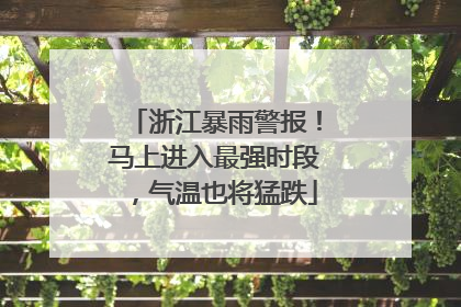 浙江暴雨警报！马上进入最强时段，气温也将猛跌