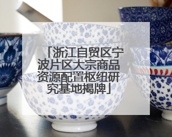浙江自贸区宁波片区大宗商品资源配置枢纽研究基地揭牌