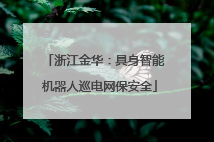 浙江金华：具身智能机器人巡电网保安全