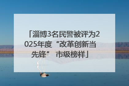 淄博3名民警被评为2025年度“改革创新当先锋” 市级榜样