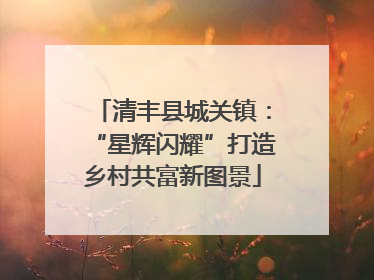 清丰县城关镇：“星辉闪耀”打造乡村共富新图景