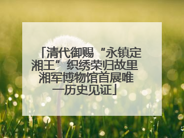 清代御赐“永镇定湘王”织绣荣归故里 湘军博物馆首展唯一历史见证