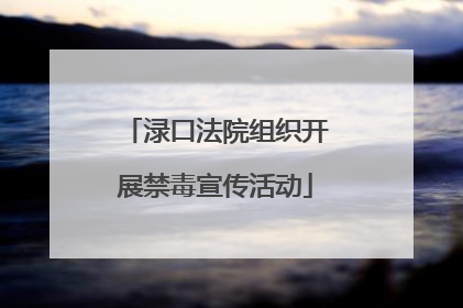 渌口法院组织开展禁毒宣传活动