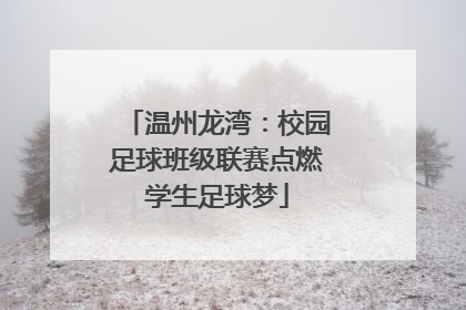 温州龙湾：校园足球班级联赛点燃学生足球梦