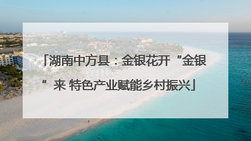 湖南中方县：金银花开“金银”来 特色产业赋能乡村振兴