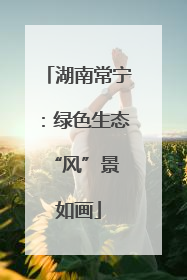 湖南常宁：绿色生态 “风”景如画