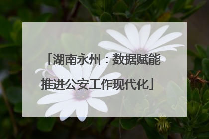 湖南永州：数据赋能推进公安工作现代化