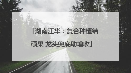 湖南江华：复合种植结硕果 龙头兜底助增收