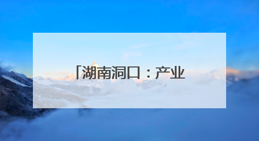 湖南洞口：产业提质增效 绘就乡村振兴新图景
