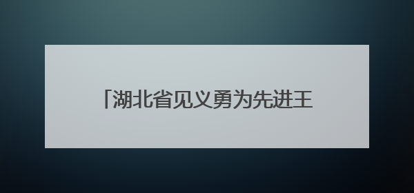 湖北省见义勇为先进王成：徒手握住利刃救人，这是我的责任和使命