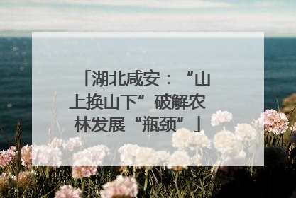 湖北咸安：“山上换山下”破解农林发展“瓶颈”