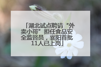 湖北试点聘请“外卖小哥”担任食品安全监督员，襄阳首批11人已上岗