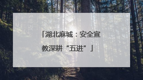 湖北麻城：安全宣教深耕“五进”