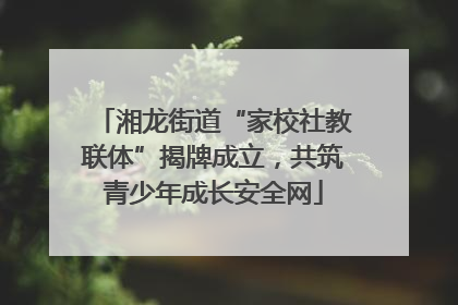 湘龙街道“家校社教联体”揭牌成立，共筑青少年成长安全网
