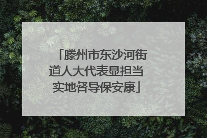 滕州市东沙河街道人大代表显担当实地督导保安康