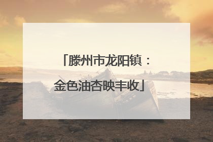 滕州市龙阳镇：金色油杏映丰收