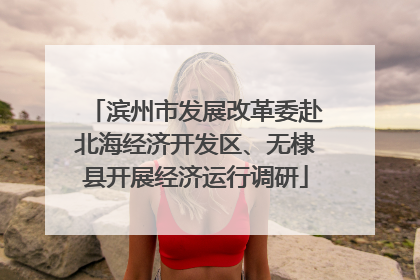 滨州市发展改革委赴北海经济开发区、无棣县开展经济运行调研