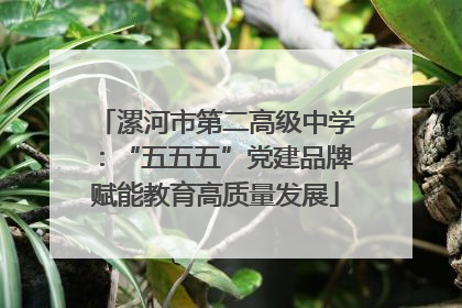 漯河市第二高级中学：“五五五”党建品牌赋能教育高质量发展