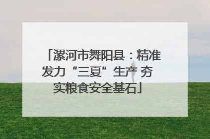 漯河市舞阳县：精准发力“三夏”生产 夯实粮食安全基石