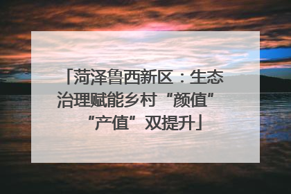 菏泽鲁西新区：生态治理赋能乡村“颜值”“产值”双提升
