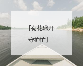 荷花盛开守护忙