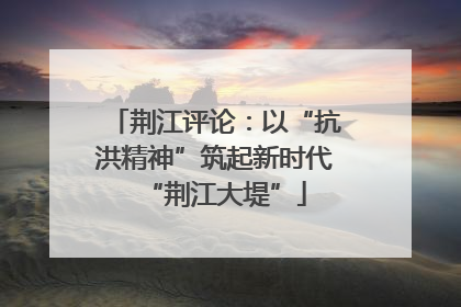 荆江评论：以“抗洪精神”筑起新时代“荆江大堤”