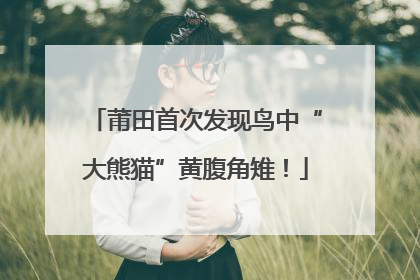 莆田首次发现鸟中“大熊猫”黄腹角雉！