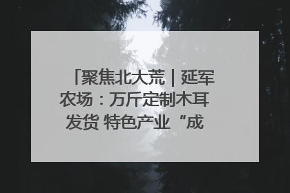 聚焦北大荒｜延军农场：万斤定制木耳发货 特色产业“成绩单”亮眼